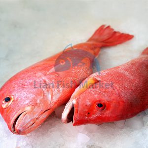 ماهی سرخو - لیان فیش مارکت - 1