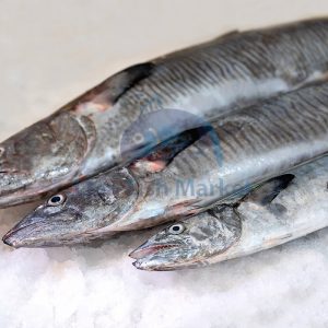 ماهی شیر - لیان فیش مارکت - 1