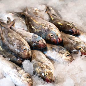 ماهی همام - لیان فیش مارکت - 1