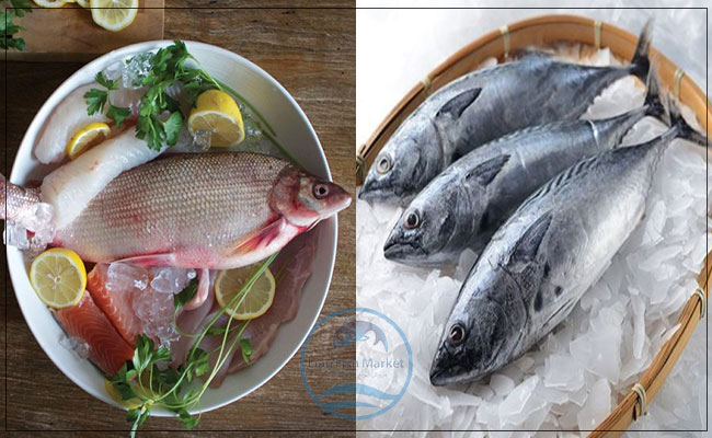 تفاوت ماهی تازه و منجمد