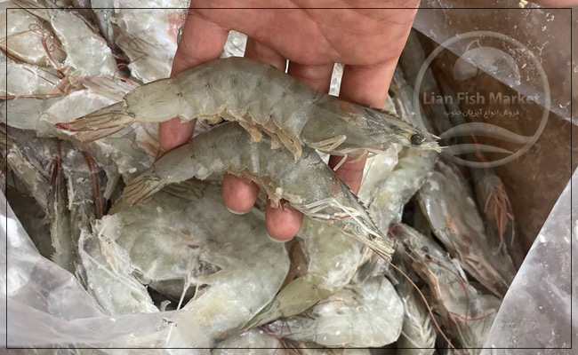 Export of farmed shrimp